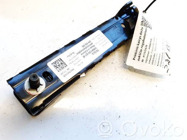 Tesla Model 3 Sicherheitsgurt-Einstellschiene