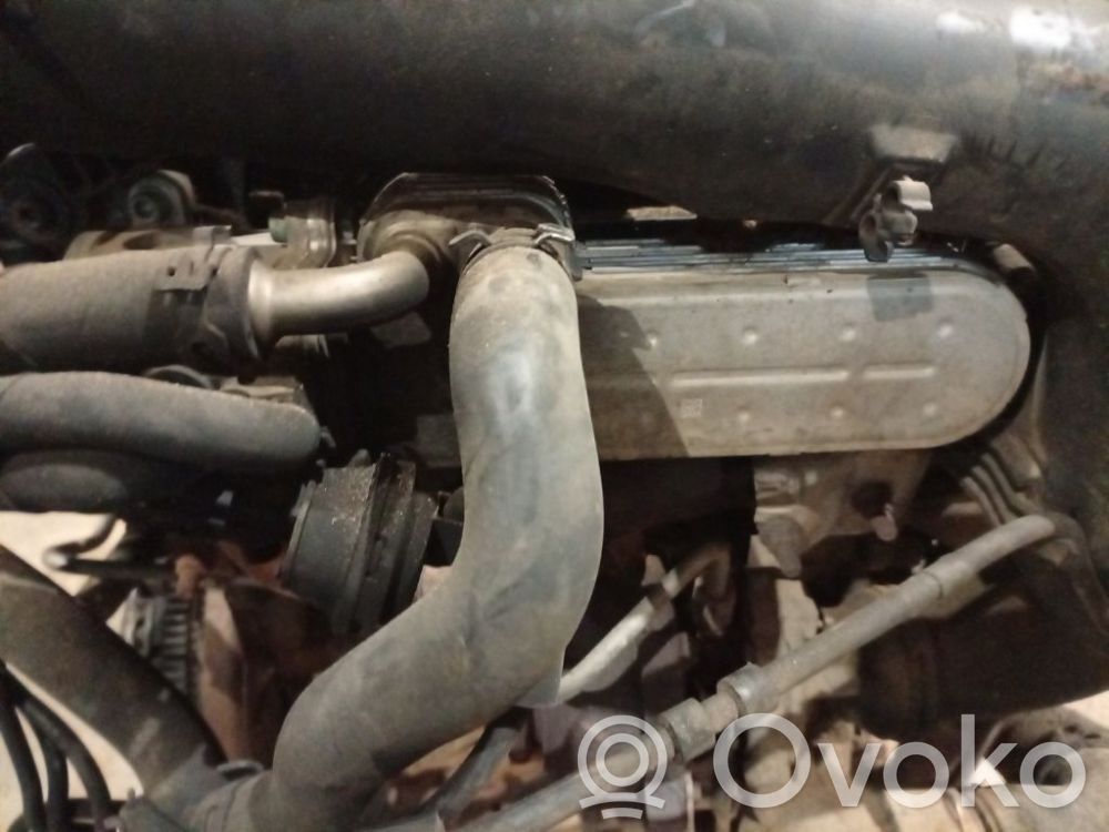 Volkswagen Golf V Chłodnica spalin EGR