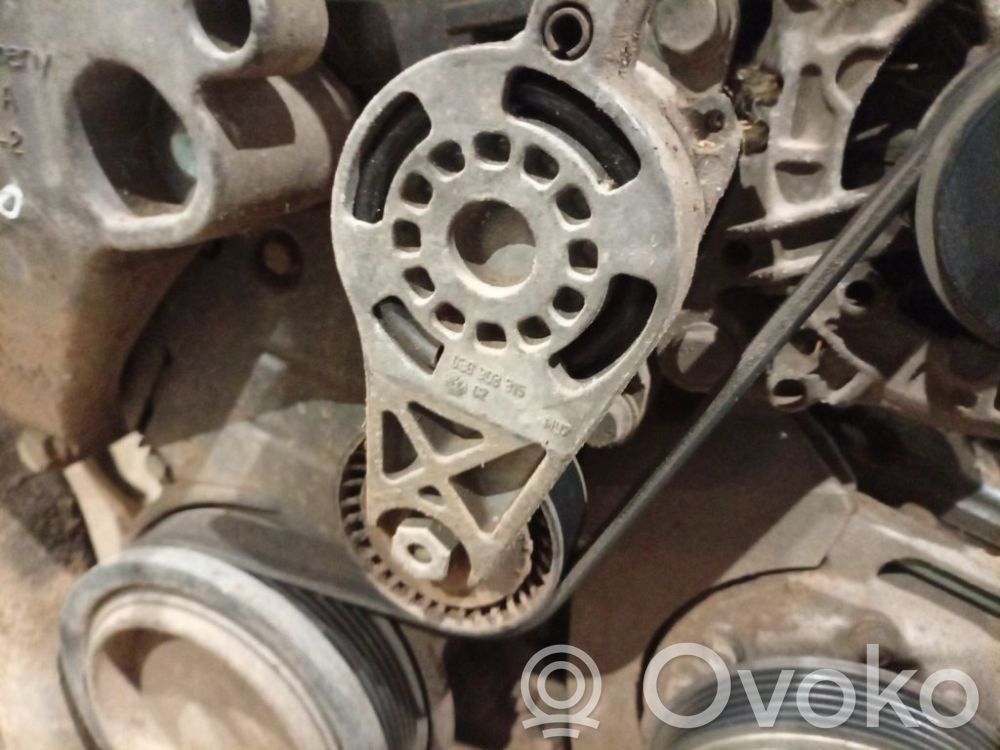 Volkswagen Golf V Napinacz paska alternatora 