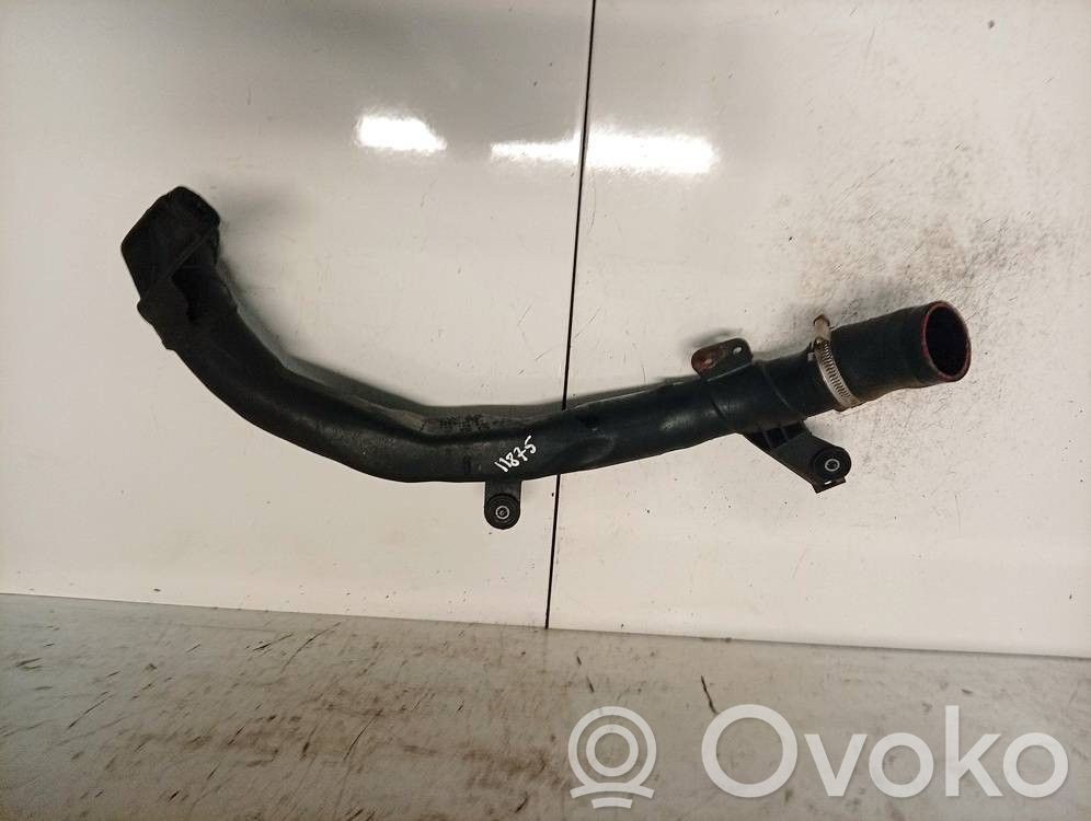 Volkswagen PASSAT B6 Wąż / Rura intercoolera