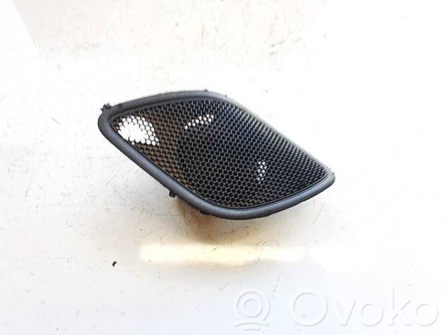 Volkswagen PASSAT B7 Altoparlante portiera anteriore
