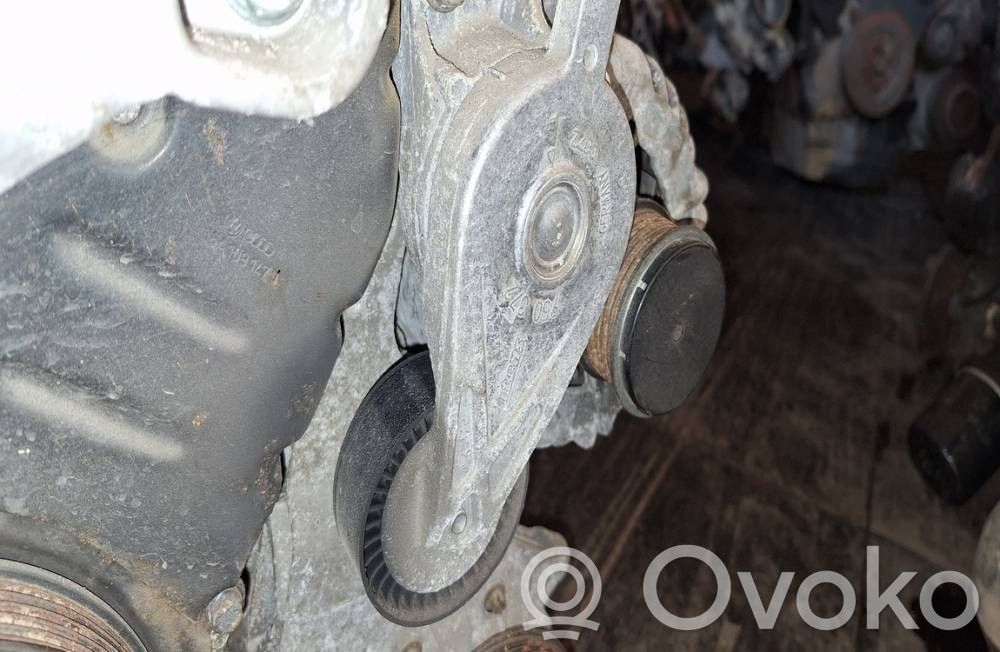 Volkswagen Golf V Întinzător curea generator/alternator 