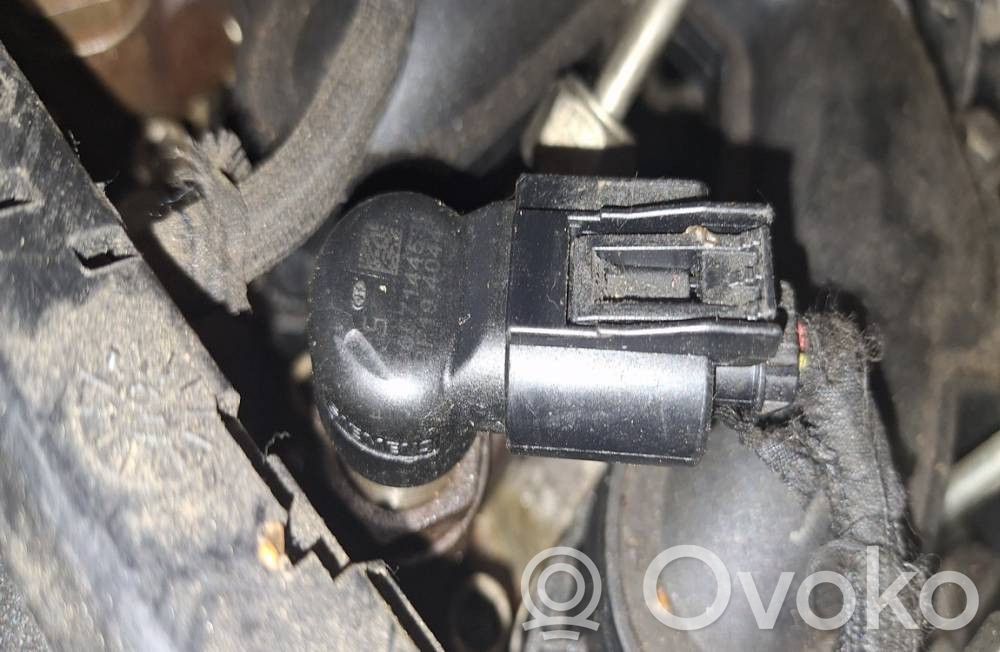 Citroen C4 I Picasso Iniettore