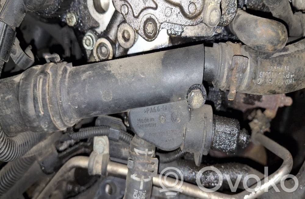 Volkswagen Golf Plus Tuyau de liquide de refroidissement moteur 