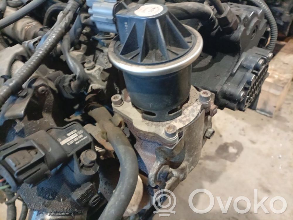 Honda Accord Valvola EGR