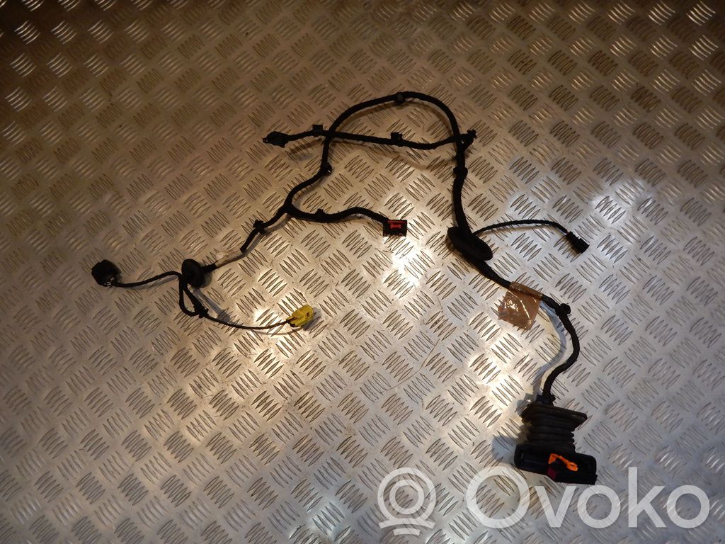 Volkswagen PASSAT B6 Cablaggio porta anteriore 