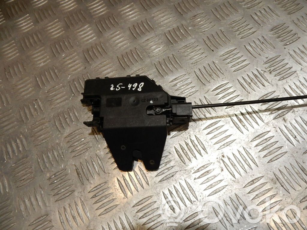 Tailgate/trunk/boot hinge   8196401,25498