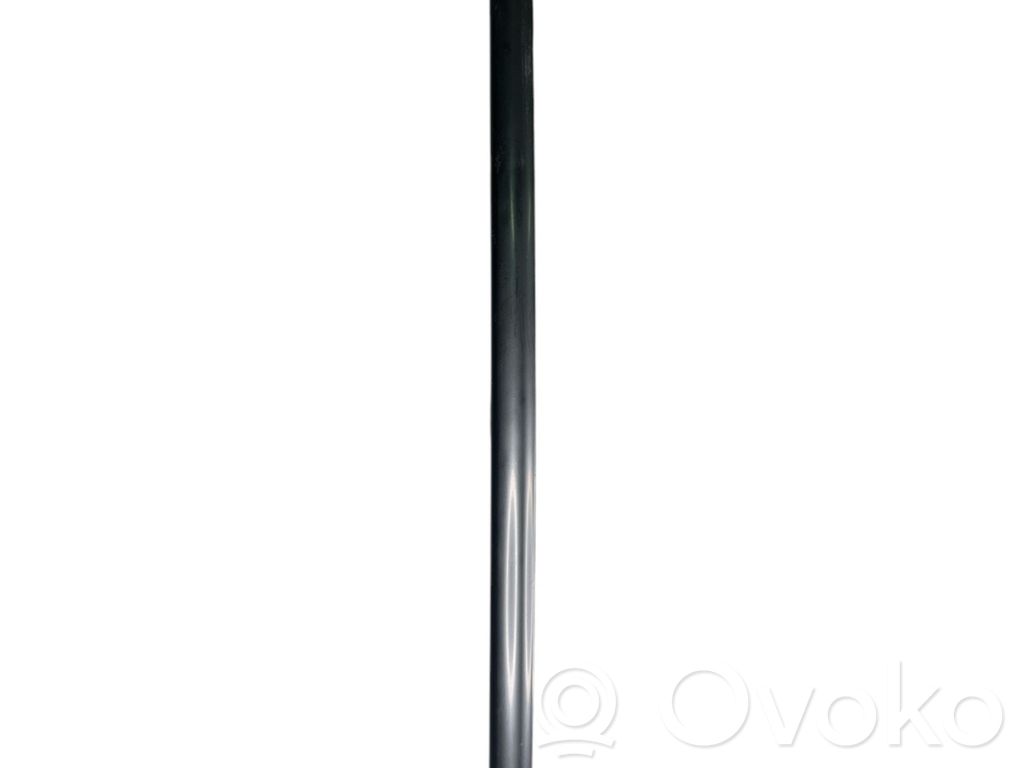 BMW 7 E65 E66 Rear door glass trim molding 