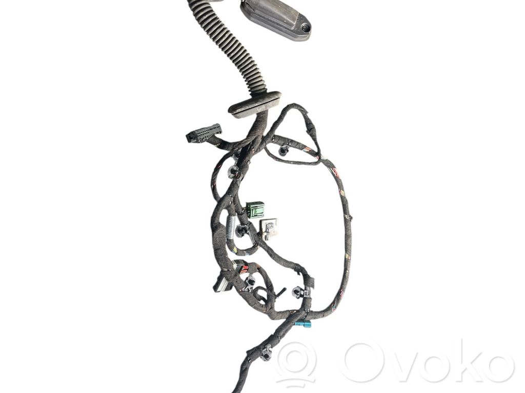 Front door wiring loom   6913124