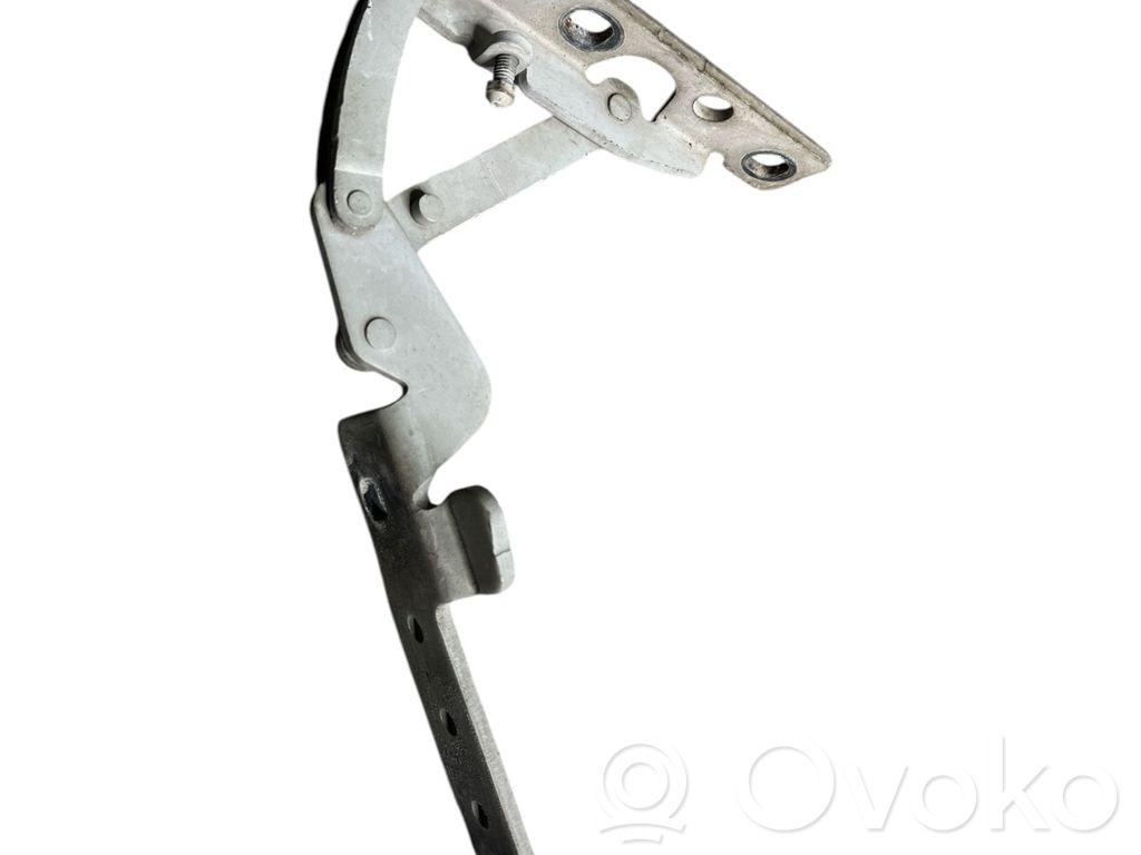 BMW 7 E65 E66 Engine bonnet/hood hinges 