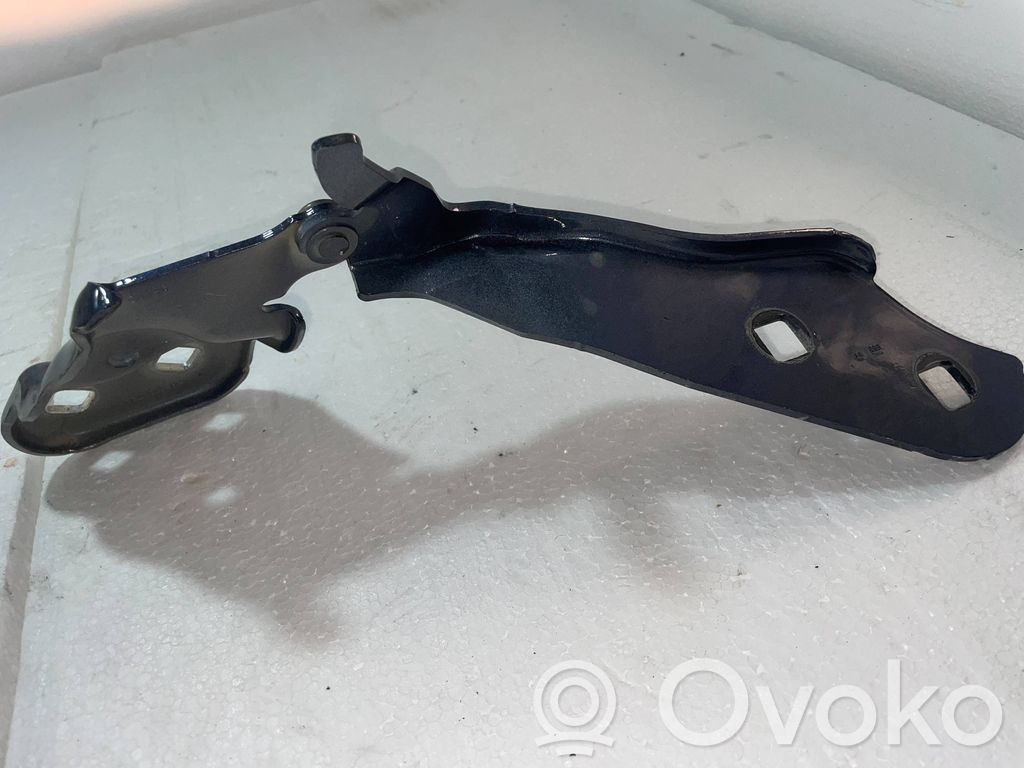 Tesla Model 3 Dzinēja pārsega eņģe (-es) 