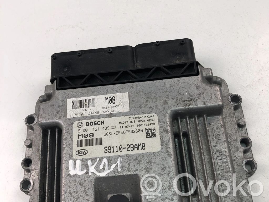 Engine control unit/module ECU   391102BAM8,9001121439