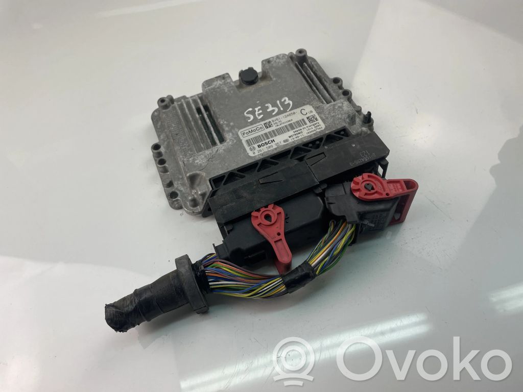 Ford Focus Engine control unit/module ECU 