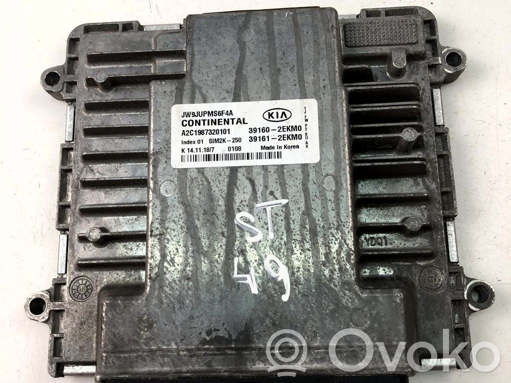Engine control unit/module ECU   391602EKM0