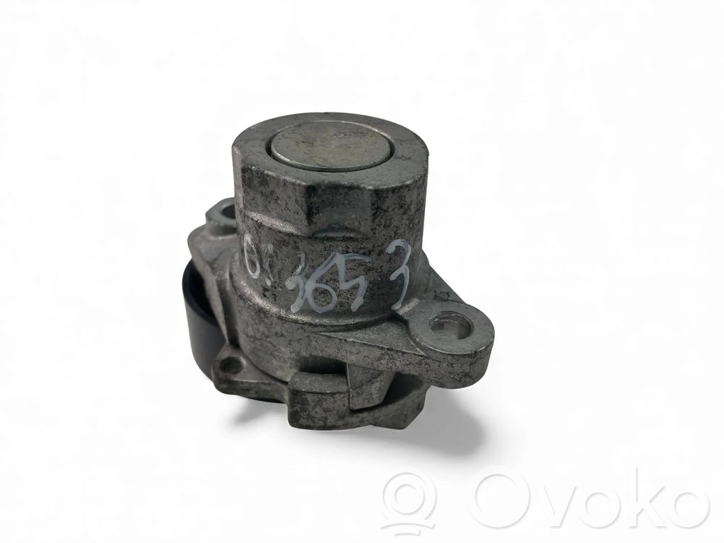 Volkswagen Golf VII Napinacz paska alternatora 
