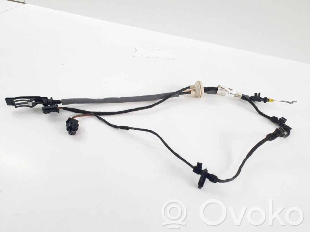 Volkswagen e-Golf Línea de cable puerta delantera 