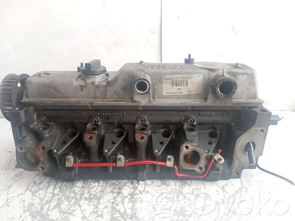 Ford Focus Sylinterinkansi 