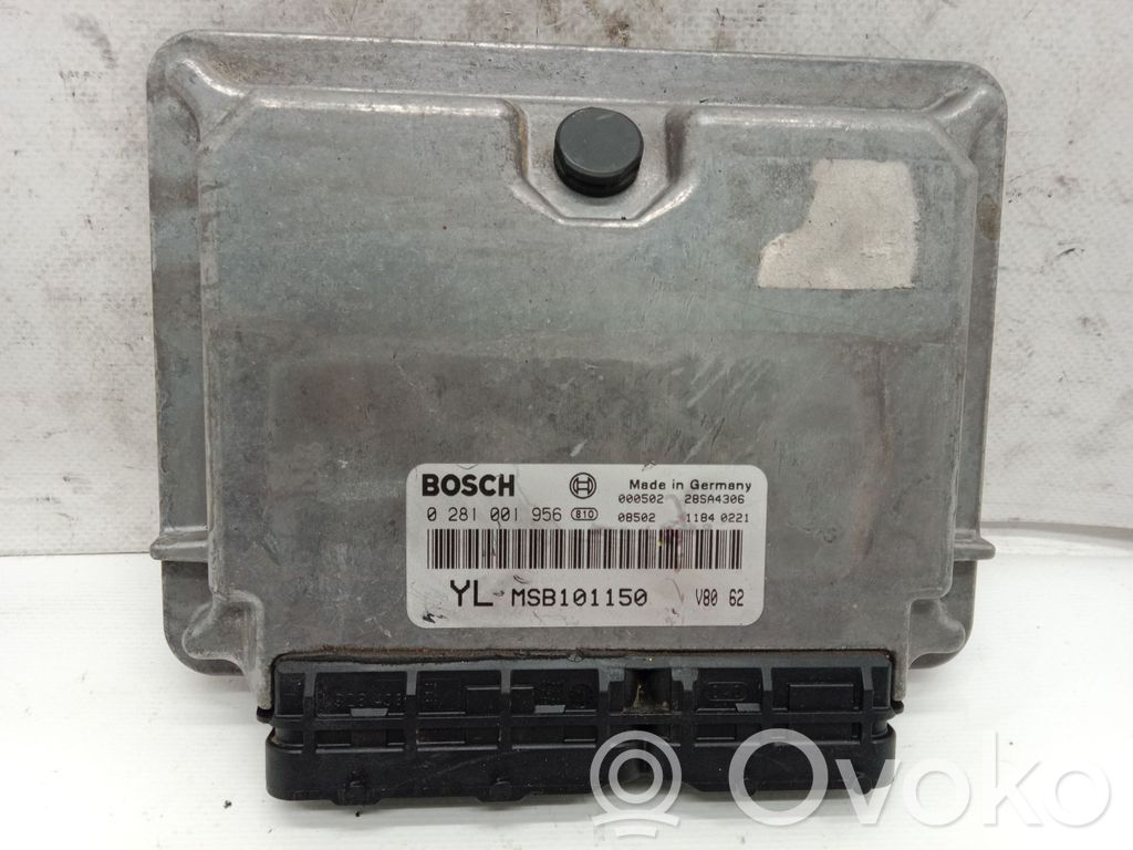 Galinės durys   MSB101150