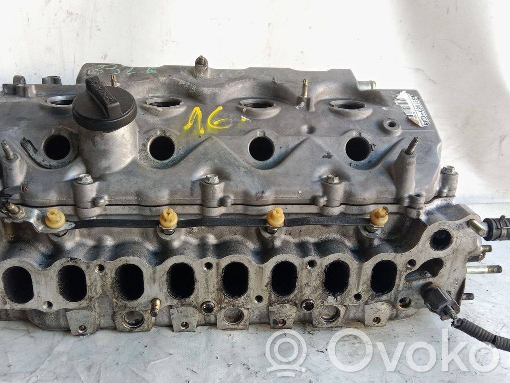 Engine head   1CDFTV