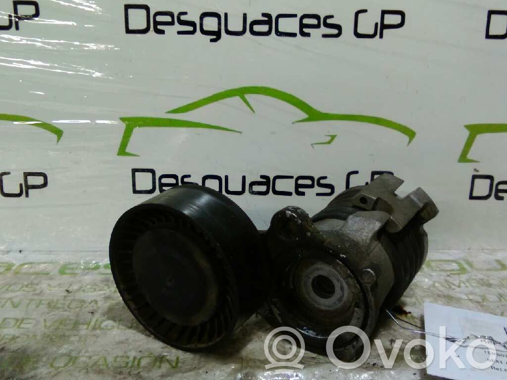 Seat Ibiza II (6k) Întinzător curea generator/alternator 
