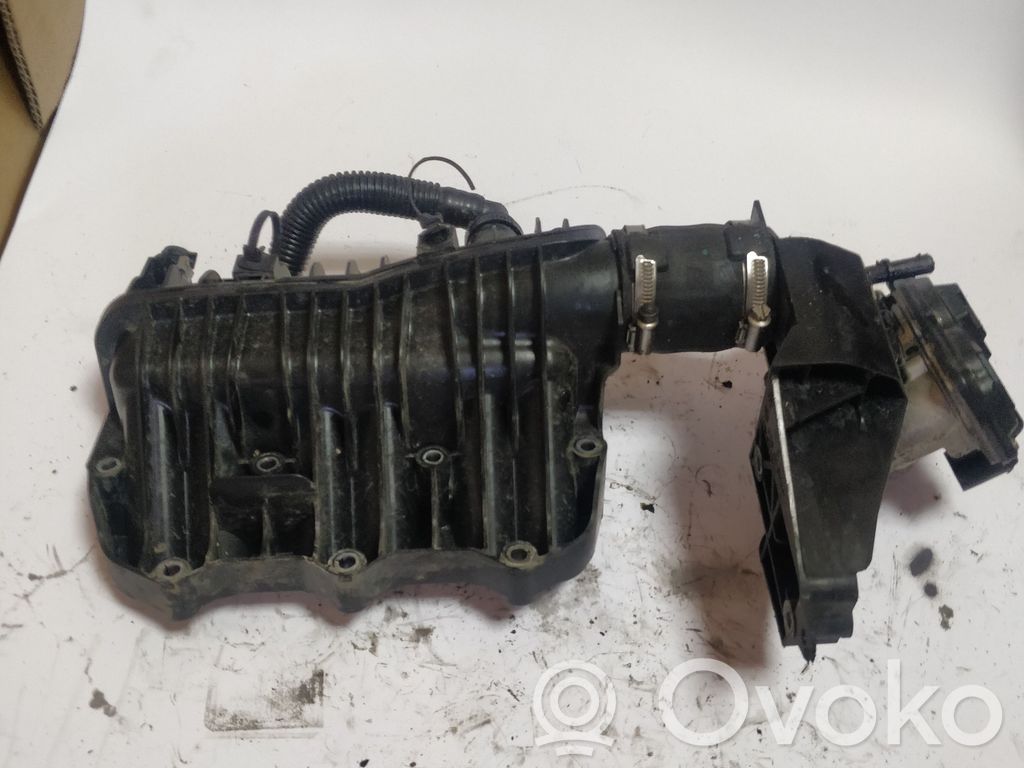 Intake manifold   509811,509811,1060231S01