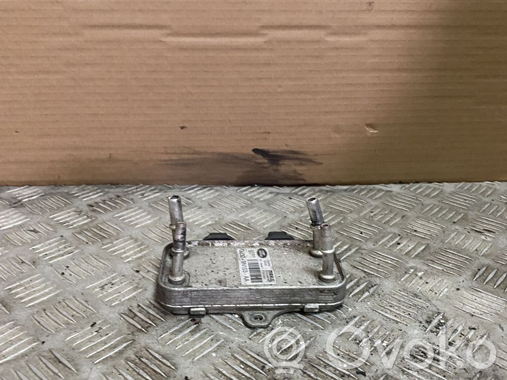 Fuel cooler (radiator)   GJ329N103AA,GJ329N103AA
