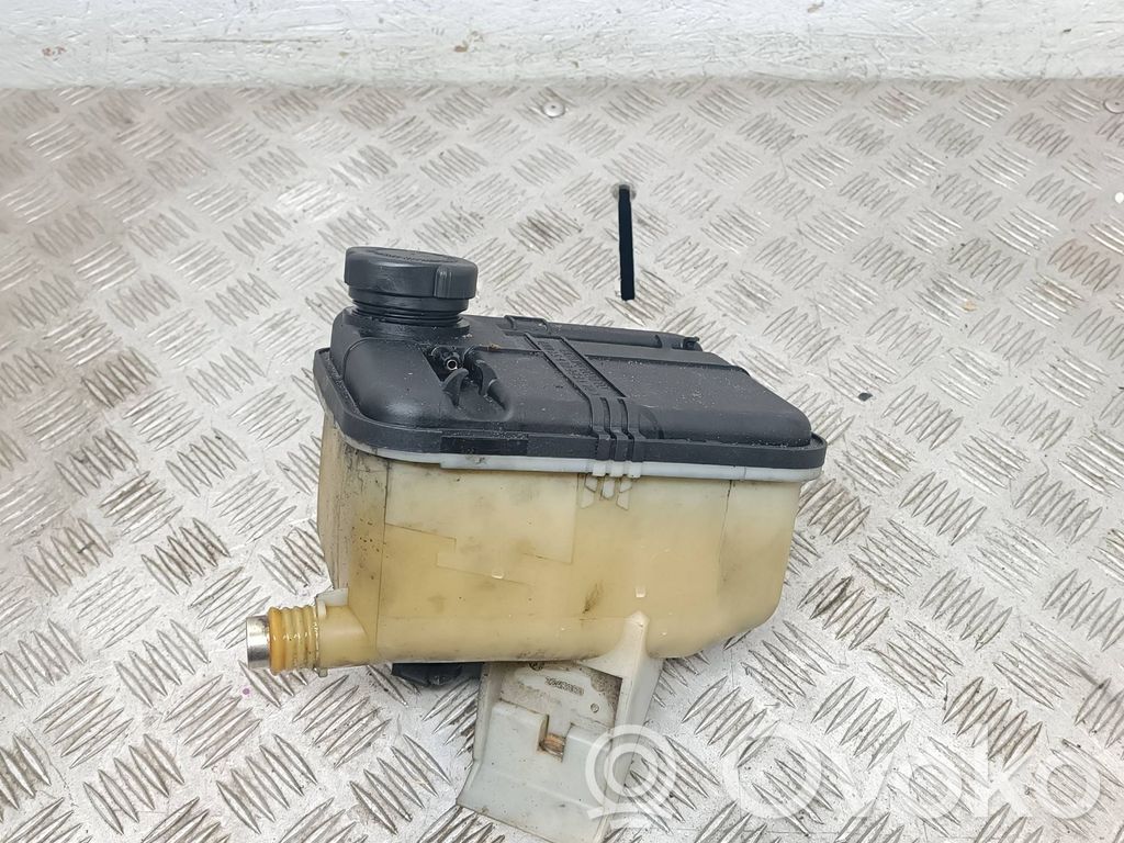 BMW 5 E39 Aušinimo skysčio išsiplėtimo bakelis 