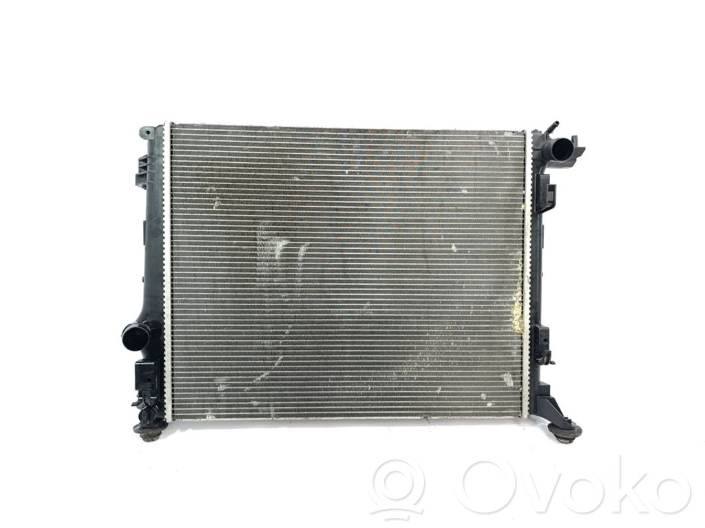 Radiador del refrigerante   214108607R