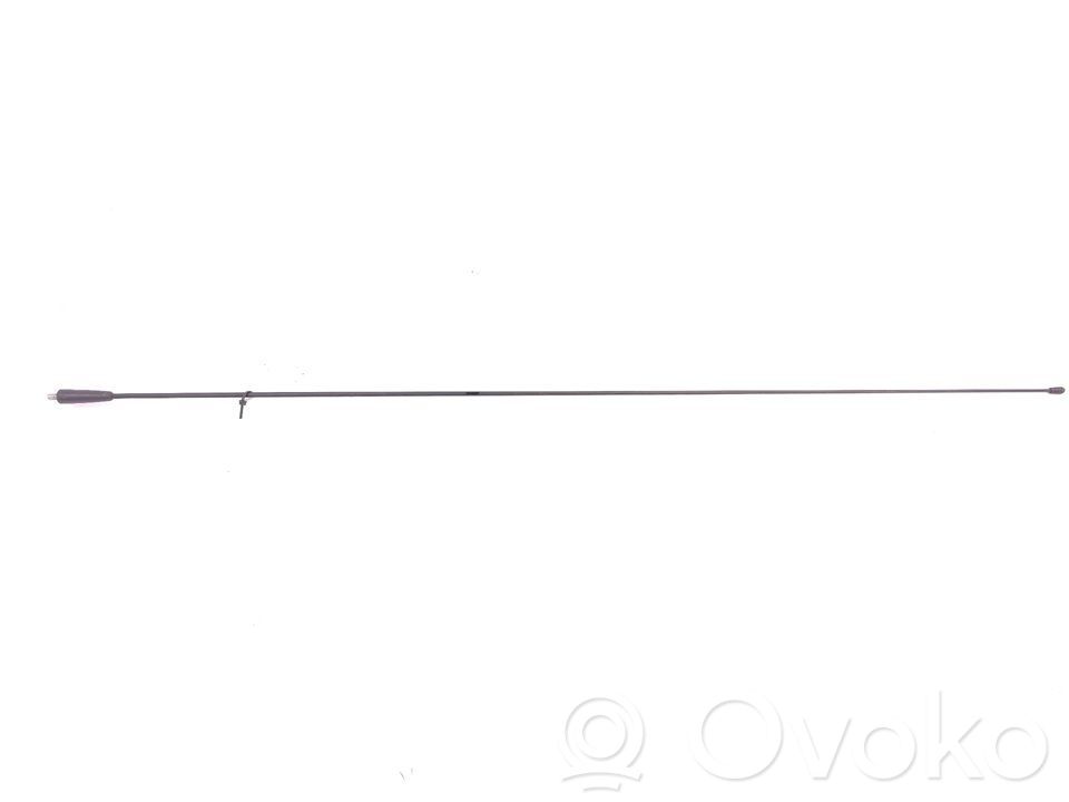 Dacia Sandero Radion antenni 