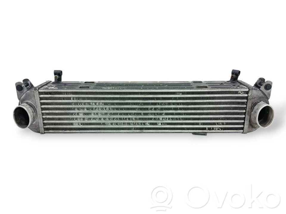 Land Rover Range Rover Sport L320 Chłodnica powietrza doładowującego / Intercooler 