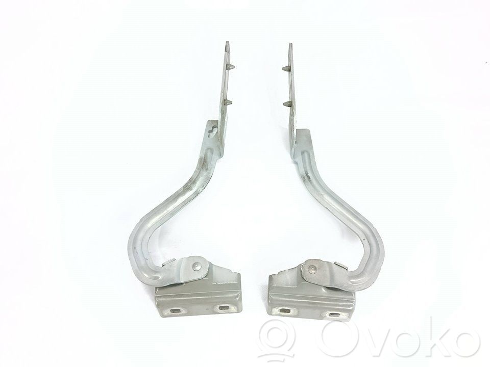 Renault Modus Engine bonnet/hood hinges 
