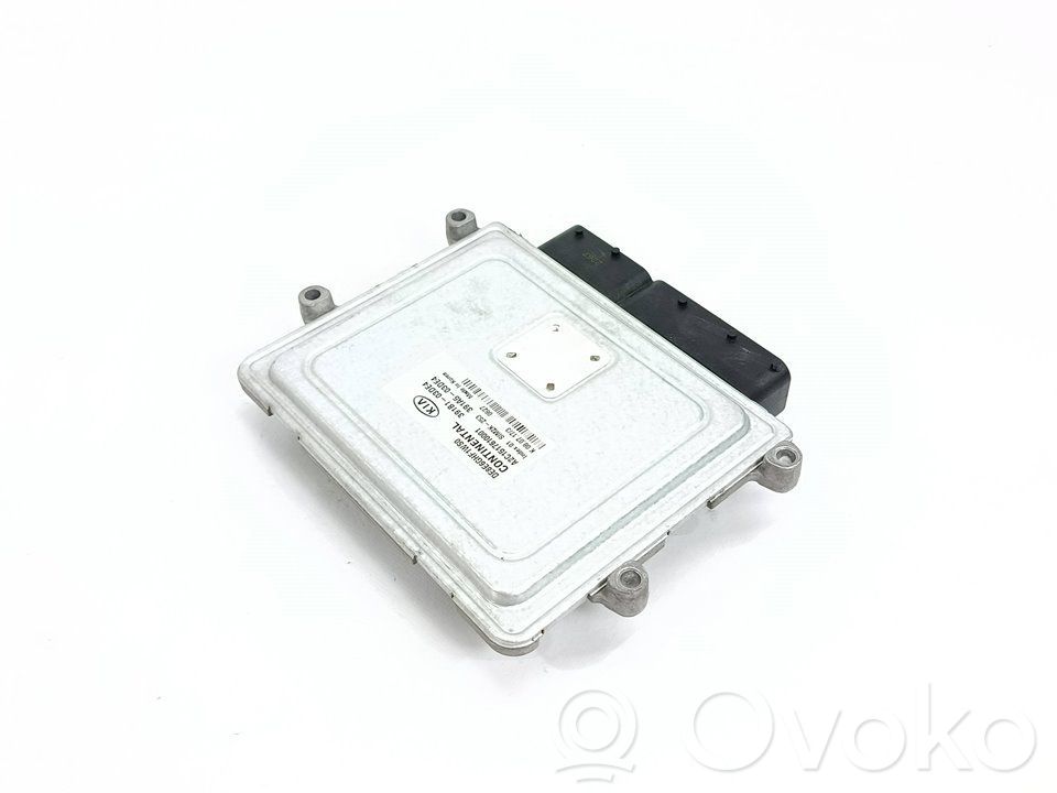 Calculateur moteur ECU   391B103DE4
