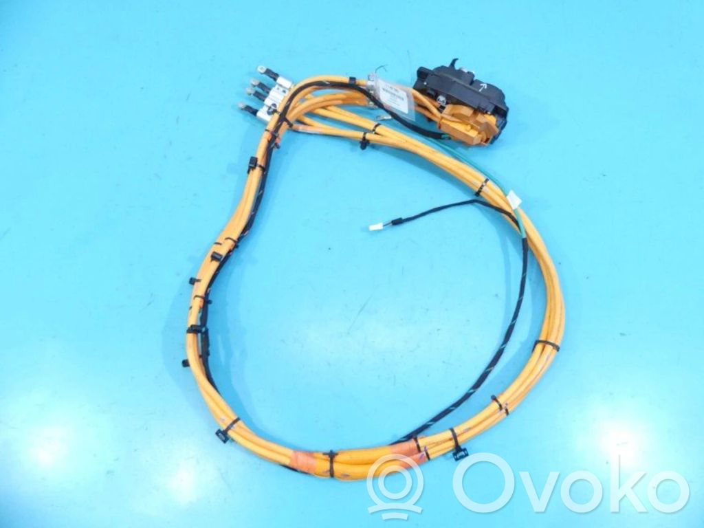 Tesla Model S Other wiring loom 