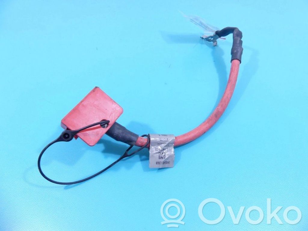 Pluskaapeli (akku)   J8A214300DB,IMPRK1353180