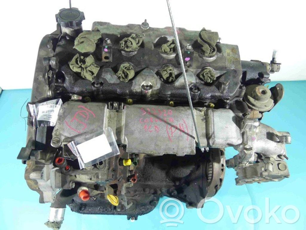 Motor   1CD,IMPRK1287641