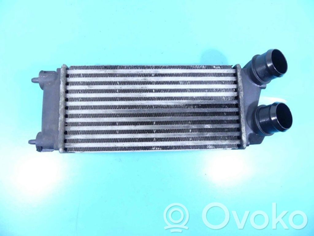 DS Automobiles 4 Starpdzesētāja radiators 