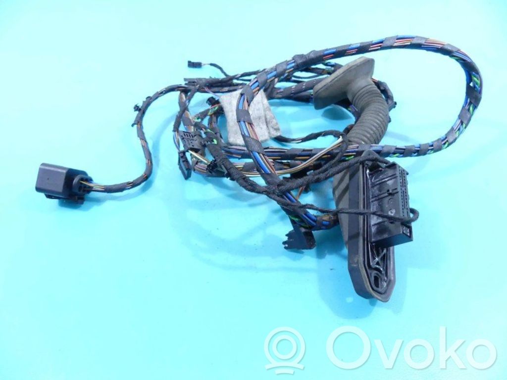 BMW X5 E70 Cableado de puerta trasera 