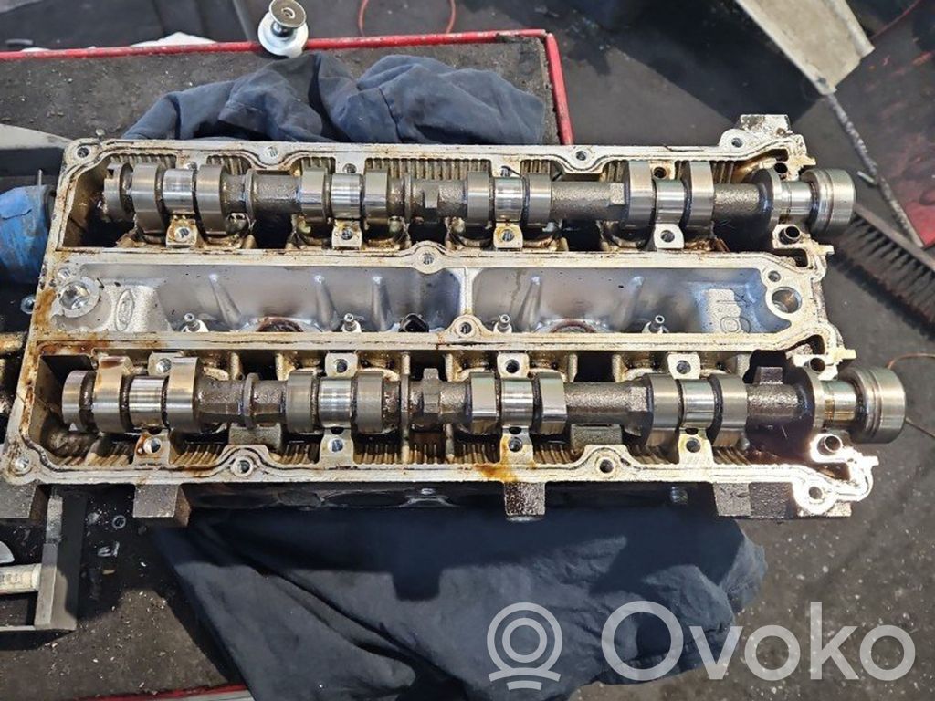 Galvutė   1N1G6090BA,IMPRK1404214,EYDD
