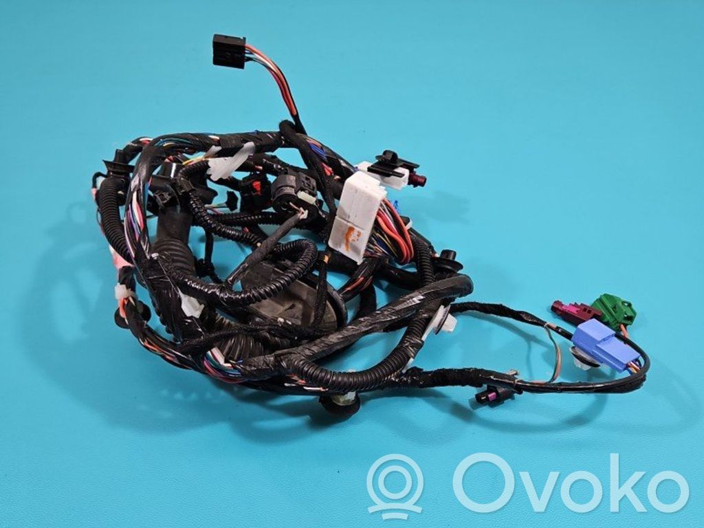 Tesla Model 3 Cableado de puerta delantera 