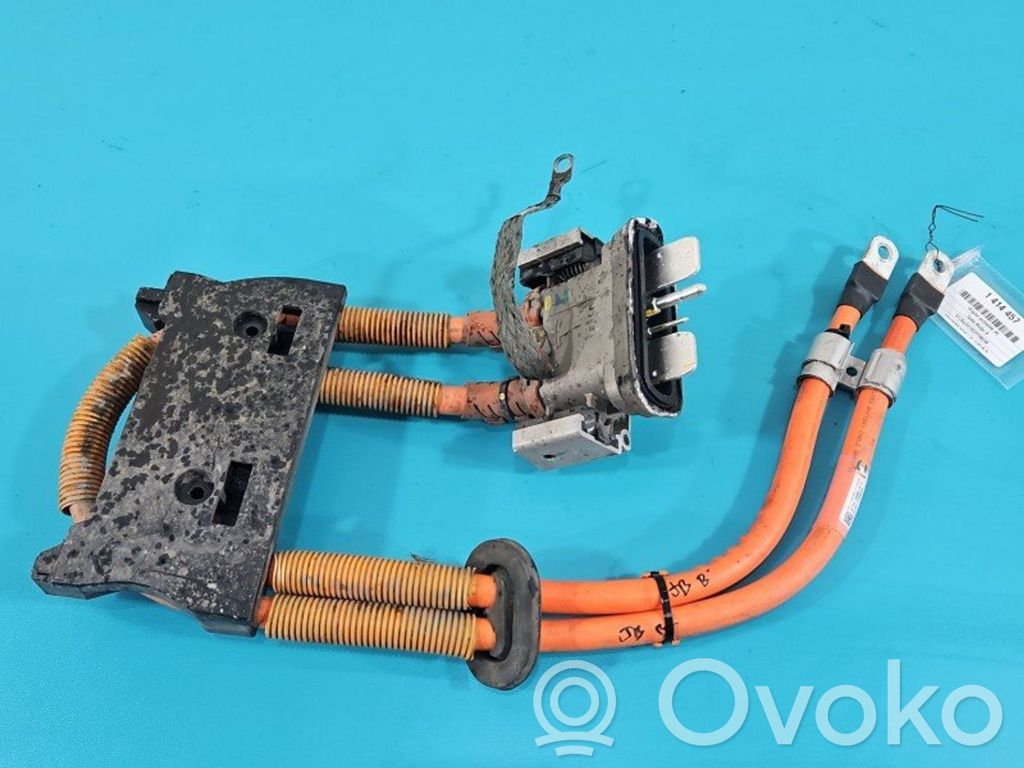 Tesla Model S Other wiring loom 