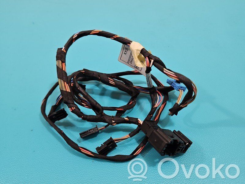 BMW X5 F15 Cablaggio porta anteriore 