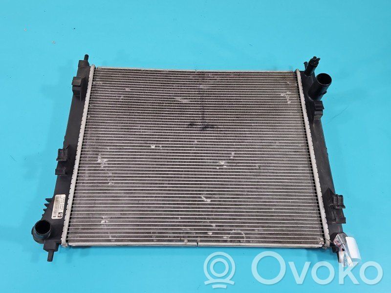 Nissan Juke I F15 Radiator lichid răcire
