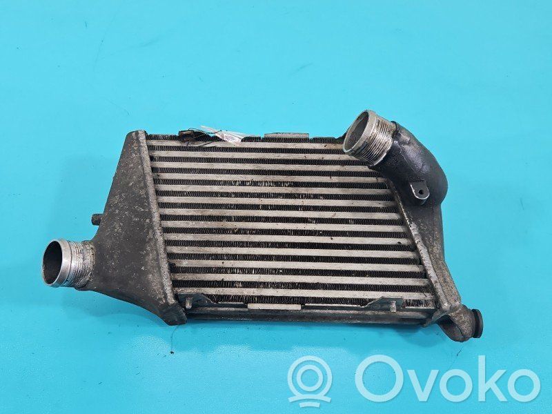 Audi A8 S8 D3 4E Interkūlerio radiatorius 