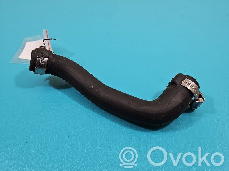 Nissan Juke I F15 Tubo flessibile del liquido di raffreddamento del motore 