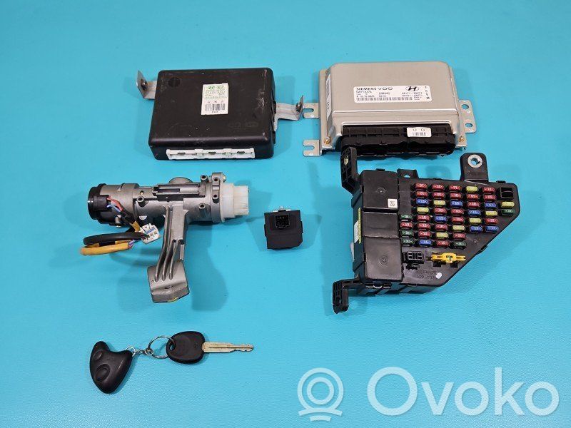 Hyundai Tucson JM Komputer / Sterownik ECU silnika 