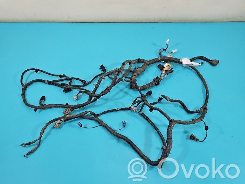 Infiniti QX60 L50 Cablaj motor 