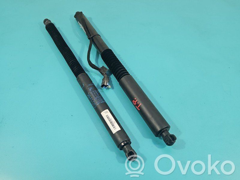 BMW X3 G01 Suport montare amortizor capotă 
