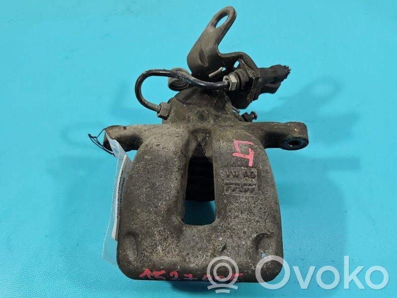 Takajarrusatula   IMPRK1527005