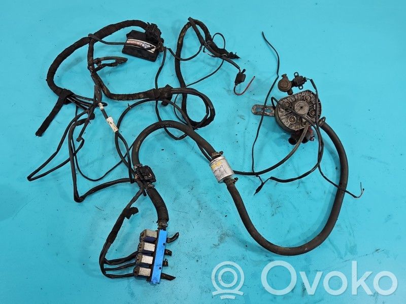 Equipo completo de gas GLP   STAG4QBOXBASIC,IMPRK1520314