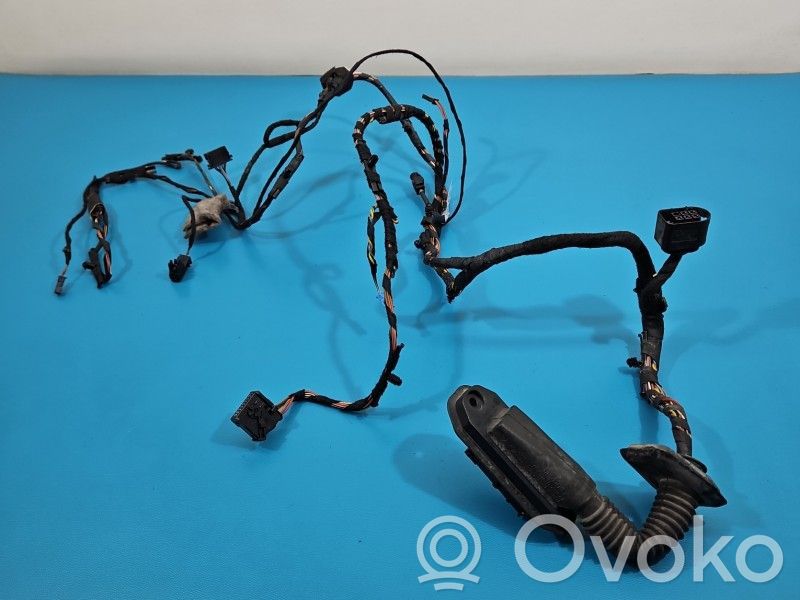 BMW X6 E71 Cableado de puerta delantera 